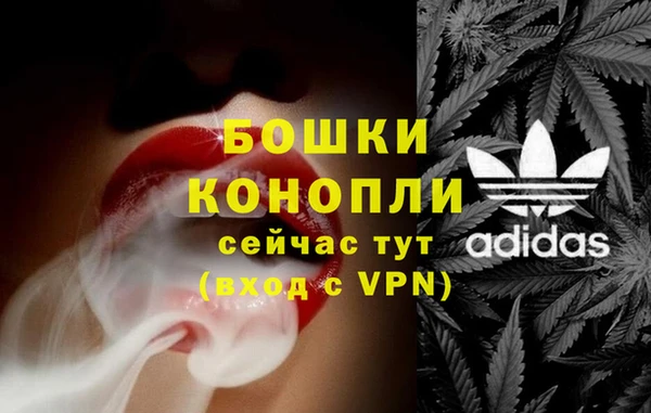 крисы Арсеньев