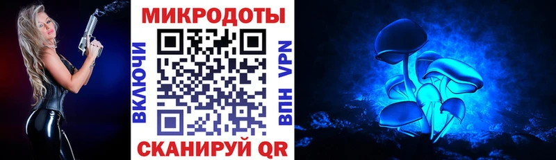 Псилоцибиновые грибы мицелий  продажа наркотиков  Пушкино 
