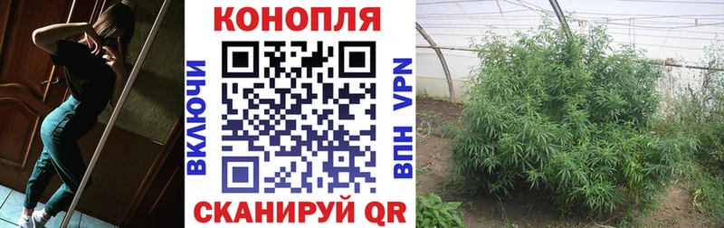 Шишки марихуана сатива Пушкино